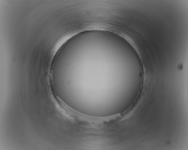 X0000110970901200907022242