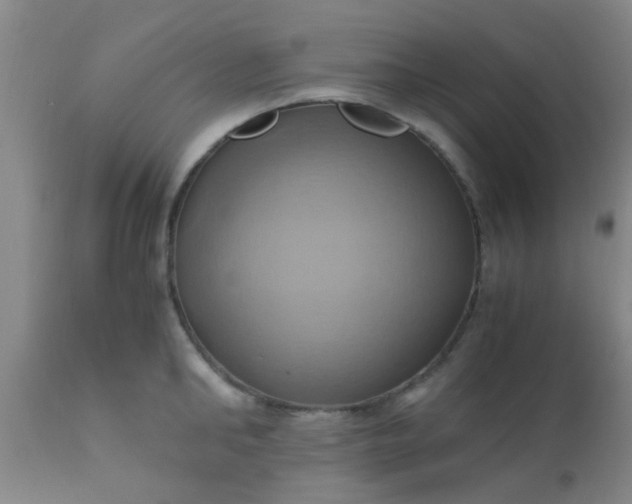 X0000110970902200907022242