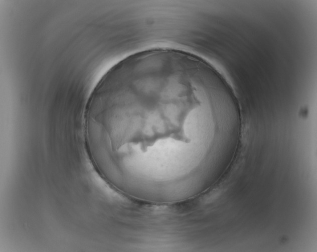 X0000110970903200907022242