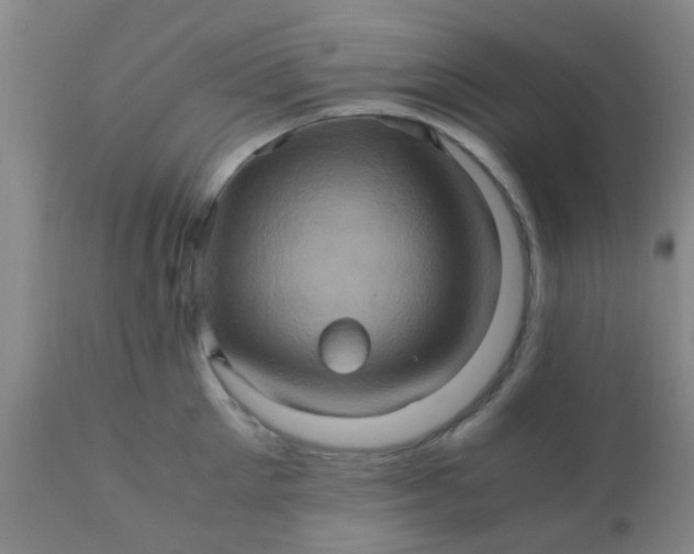 X0000110970905200907022242