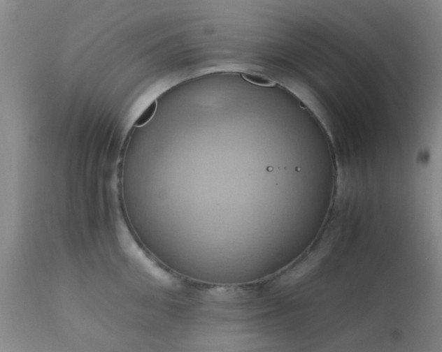 X0000110970906200907022242