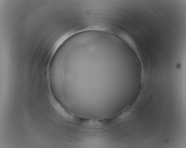 X0000110970907200907022242