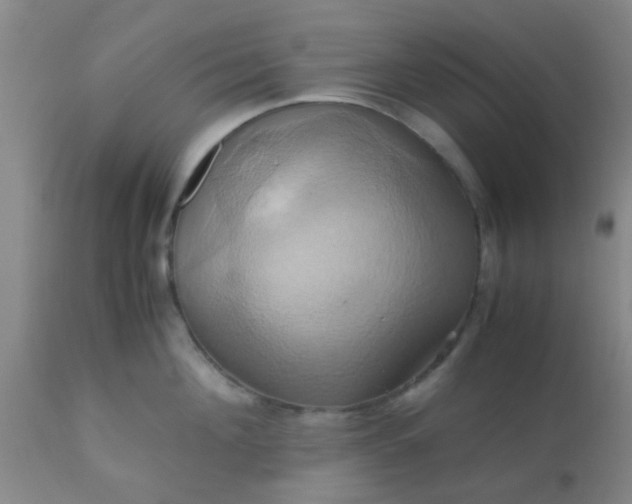 X0000110970908200907022242