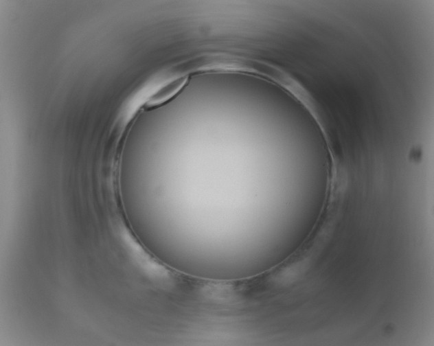 X0000110970909200907022242