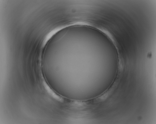 X0000110970910200907022242