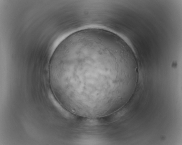 X0000110970911200907022242