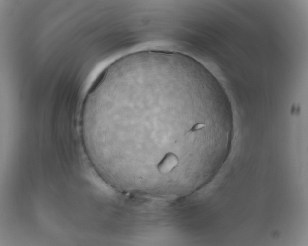 X0000110970912200907022241