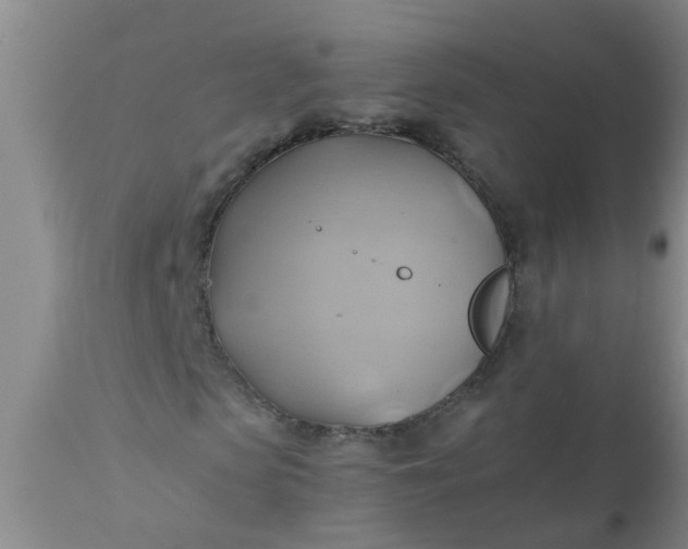 X0000110970913200907022241