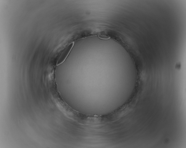 X0000110970914200907022241