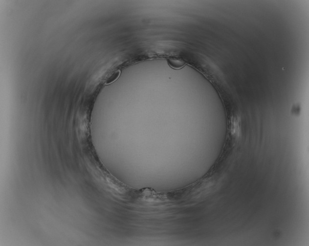 X0000110970915200907022241