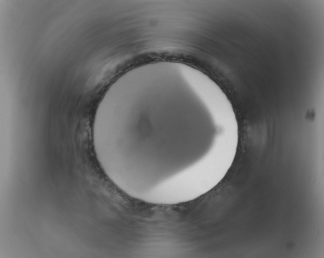 X0000110970918200907022241