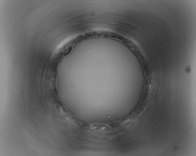 X0000110970919200907022241