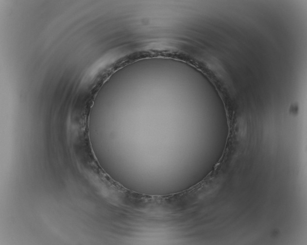 X0000110970920200907022241