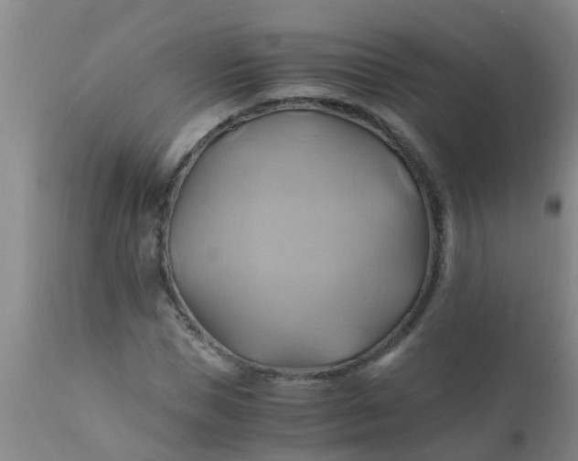 X0000110970921200907022241