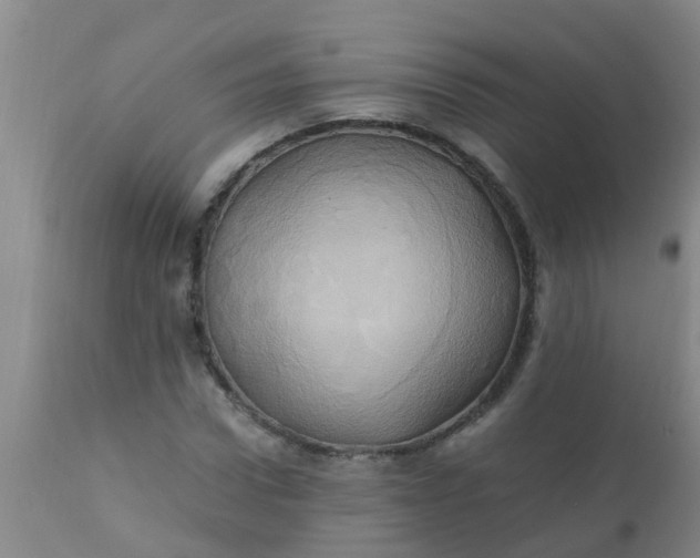 X0000110970922200907022241