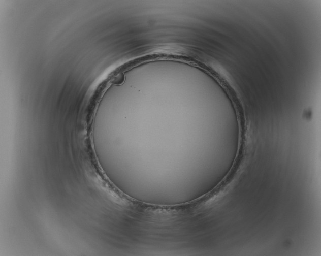 X0000110970923200907022241