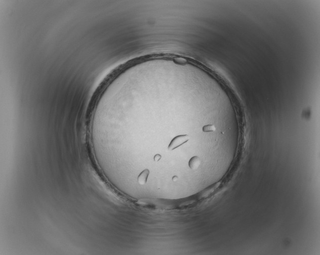 X0000110970924200907022241