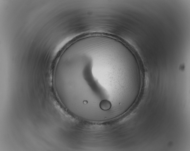 X0000110970925200907022241