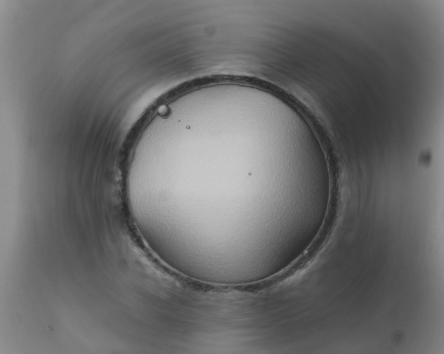 X0000110970926200907022241