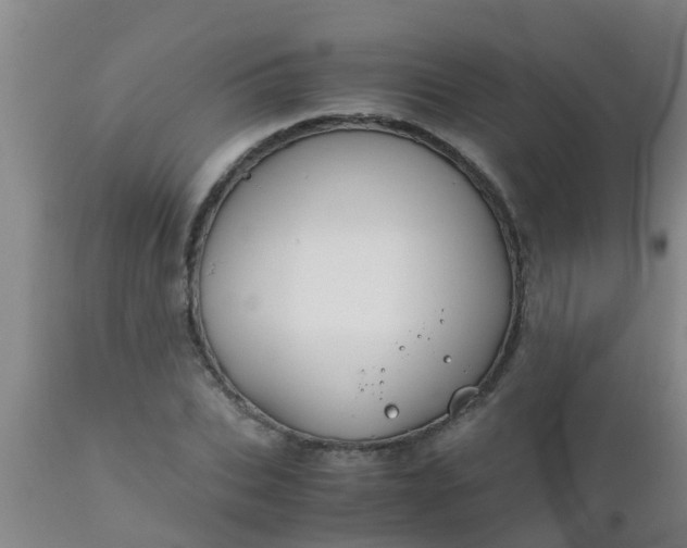 X0000110970927200907022241