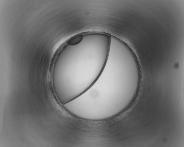 X0000110970928200907022241