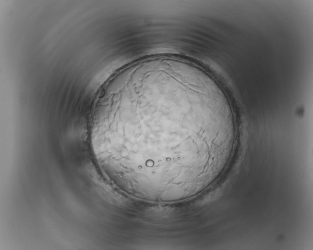 X0000110970929200907022241