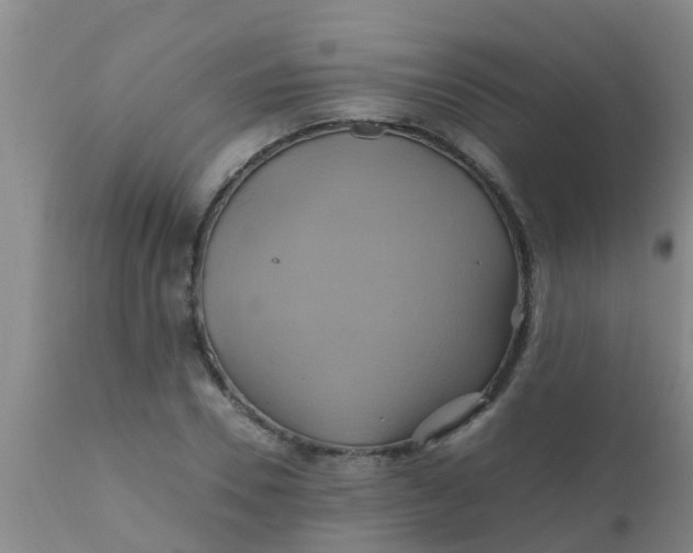 X0000110970930200907022241