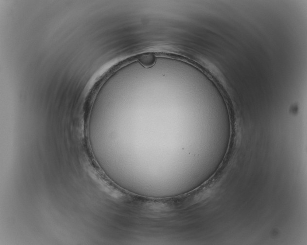 X0000110970931200907022241