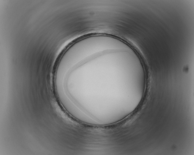 X0000110970932200907022241