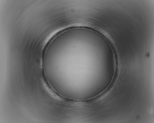 X0000110970934200907022241