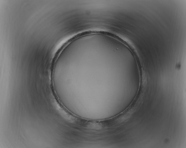 X0000110970935200907022241