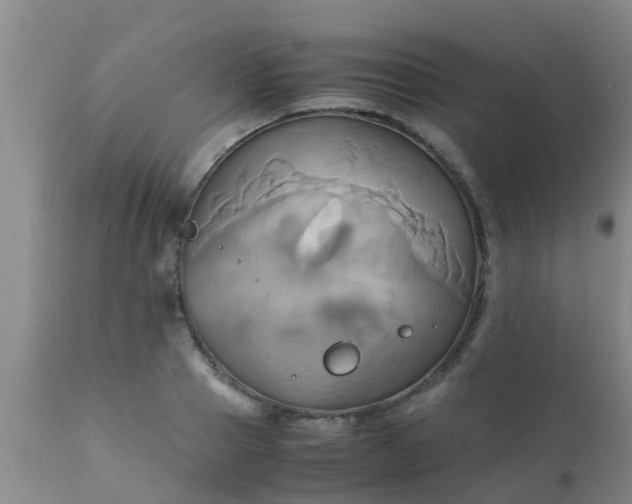 X0000110970937200907022241