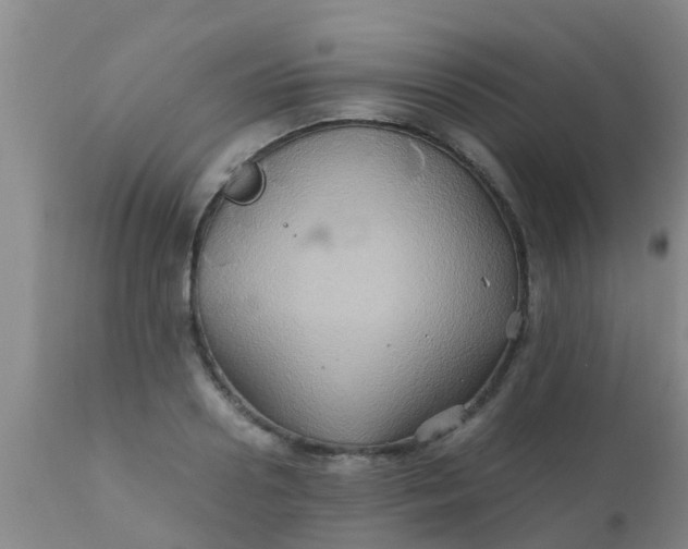 X0000110970938200907022241