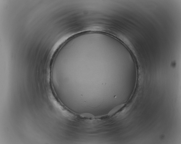 X0000110970939200907022241