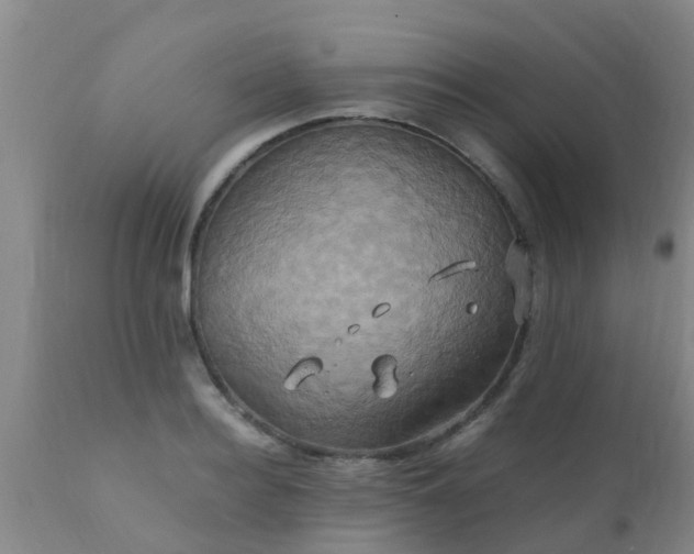 X0000110970940200907022241