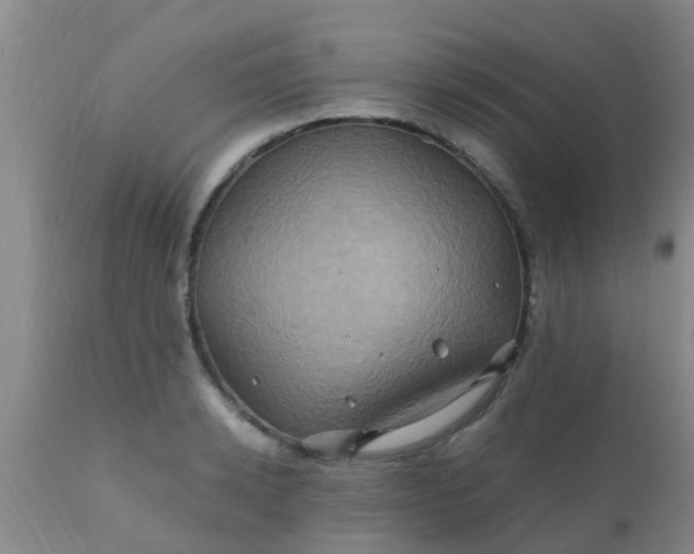 X0000110970942200907022241