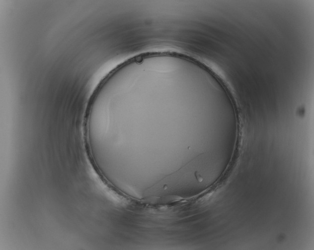 X0000110970943200907022241