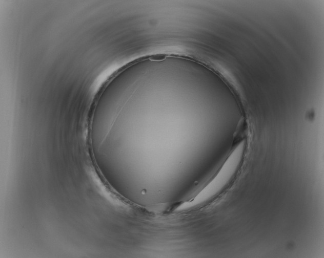 X0000110970944200907022241