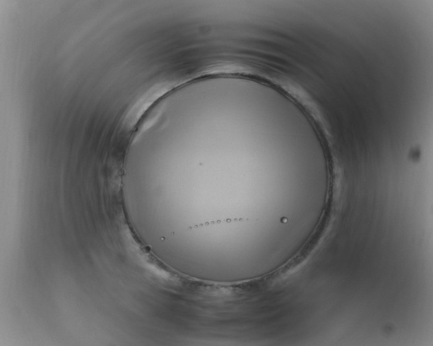 X0000110970945200907022241