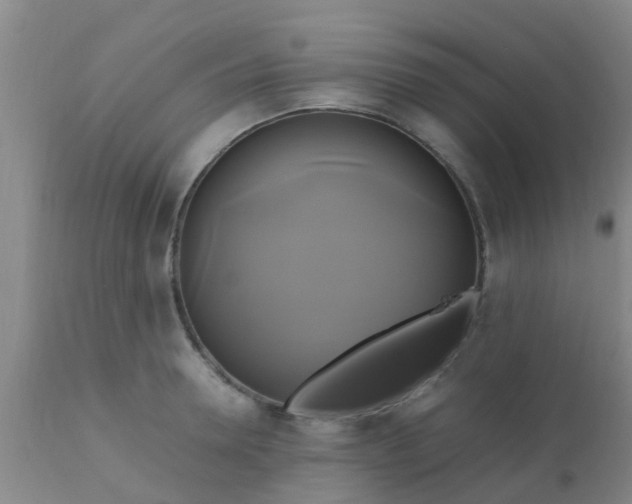 X0000110970946200907022241