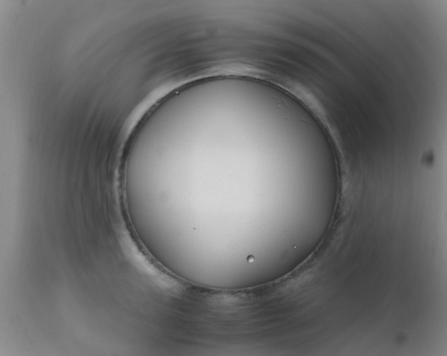 X0000110970947200907022241