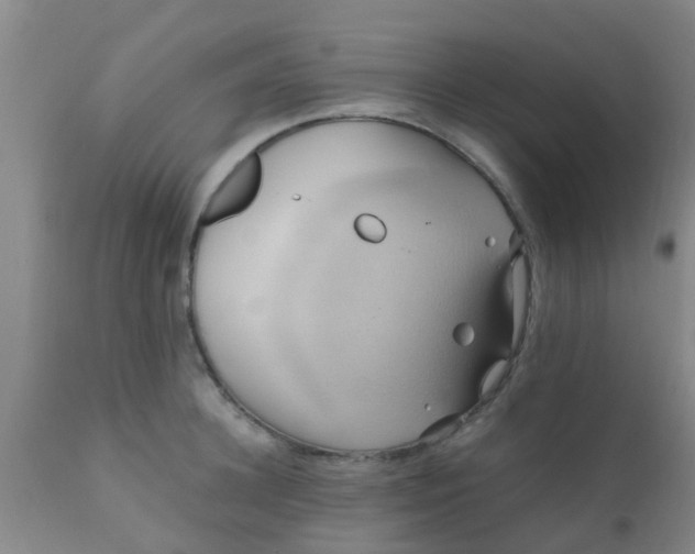 X0000110970948200907022241