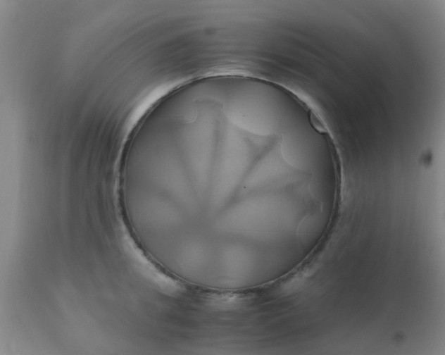 X0000110970949200907022241