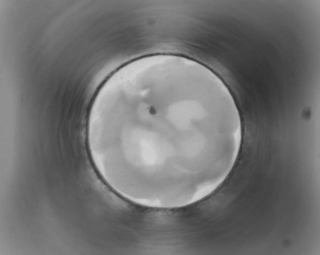 X0000110970950200907022241