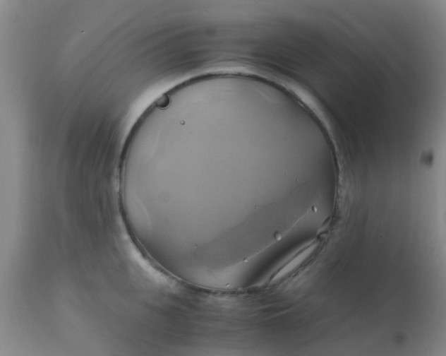 X0000110970951200907022241