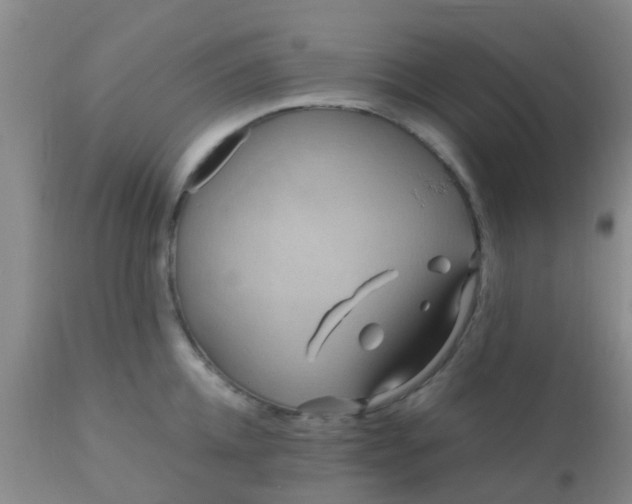 X0000110970952200907022241