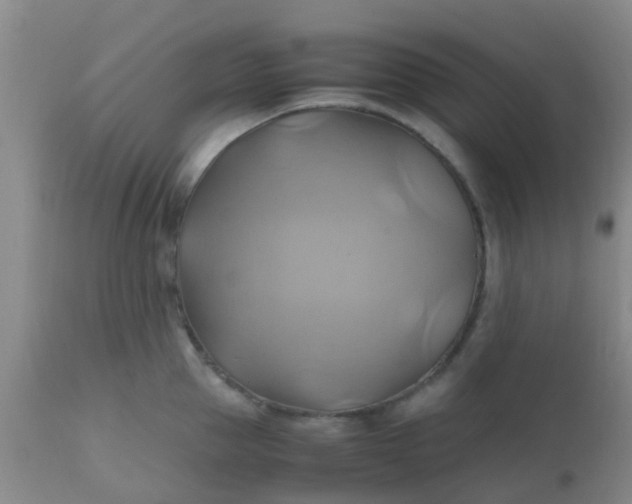 X0000110970953200907022241