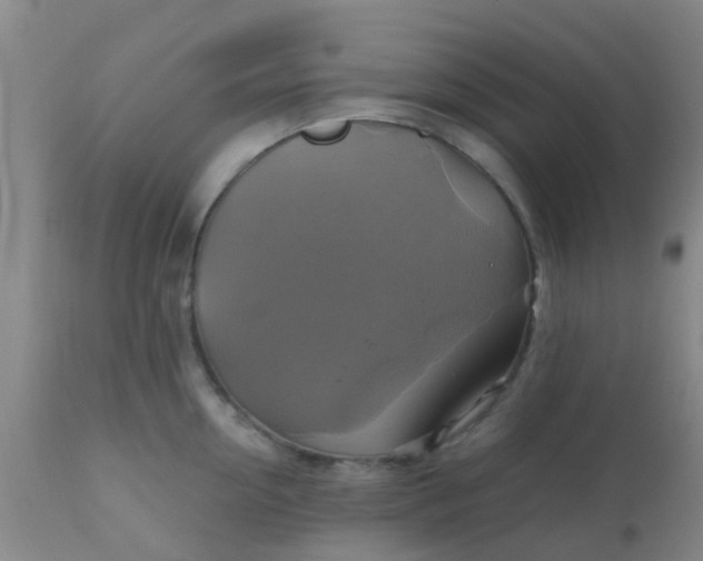 X0000110970954200907022241