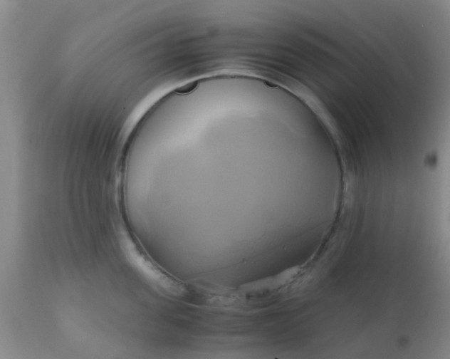 X0000110970955200907022241