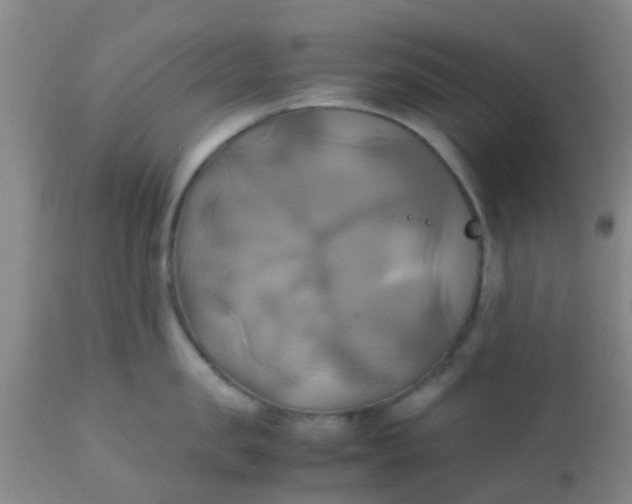 X0000110970957200907022241